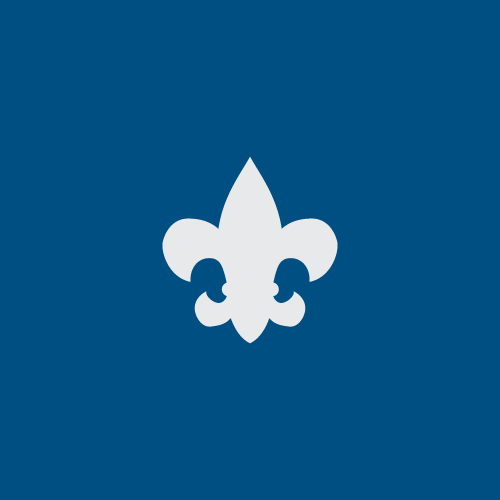 A white fleur de lis on a blue background